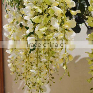 27434 The petals of champagne from handcraft factory,wistaria sell to Asia and Europe