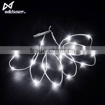 Battery Powered Led Light Strip Wholesales Price photo-5