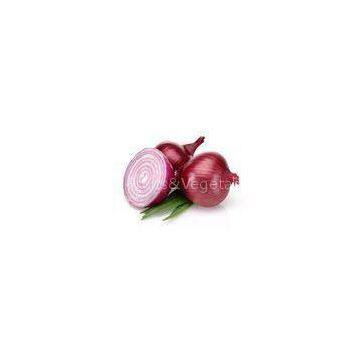 Healthy Natural Fresh Onion Green Products , No Irregular Shape
