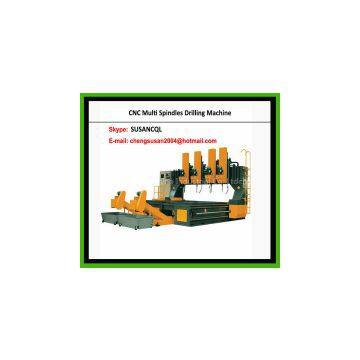 Multi Spindles CNC Drilling Machine for Plate