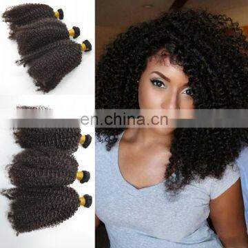 10a virgin hair kinky curly virgin hair wholesale malaysian virgin hair