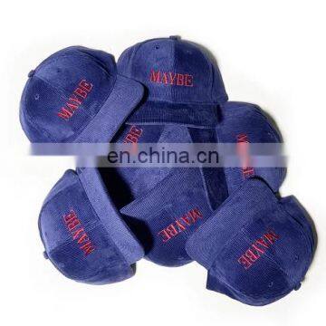 Diznew Custom 2D Embroidery Logo Plastic Strapback 5 Panel Fashion Hat Thick Corduroy Dad Baseball Hats photo-2