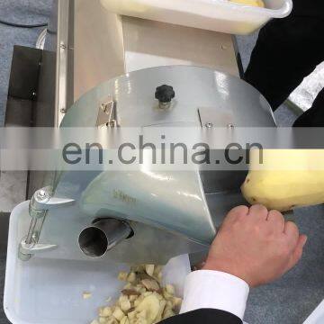 Industrial Fruit Vegetable Cube Cutter Cutting Machines Aloe Vera Dicing Machine