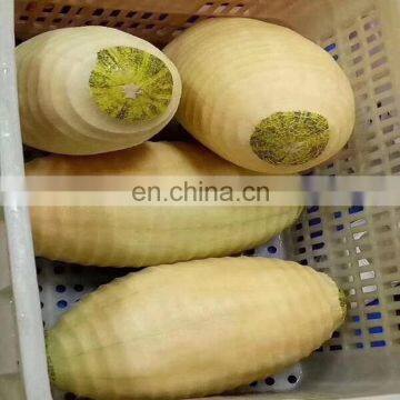 Factory sale Cheap Price Pumpkin Peeling Machine/Pomelo/Coconut/Pumpkin Peeler