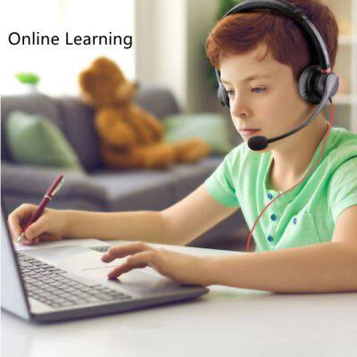 Hion H730D Dual Sides Dual Microphones USB Noise Cancelling Headphone photo-5