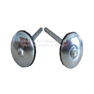 Roofing Nails photo-2