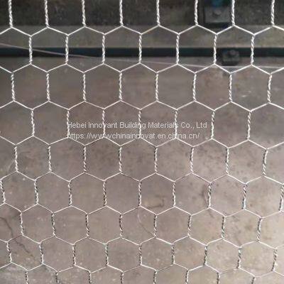 Hot Dipped Galvanized Hexagonal Wire Mesh photo-2