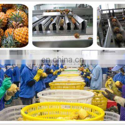 CHINA Factory Fruit and Vegetable Processing Line Food Processing Machine Canned Fruit Vegetable photo-5