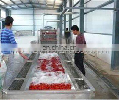 Turnkey Project Complete Set of Palm Dates Processing Line Date Syrup Production Line Factory Manufacture 500kg/hr photo-3