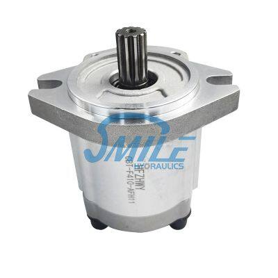 Gear Pump 281-6269/2816269 for Replacement Cat M315D Wheeled Excavator