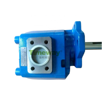 E Series Hydraulic Gear Pump E66 Single Gear Oil Pump for Oil Field High Pressure Gear Rotor Pump photo-3