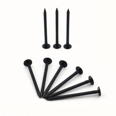 Black Common Nails - Blacked Surface Treatment for Corrosion Resistance photo-3