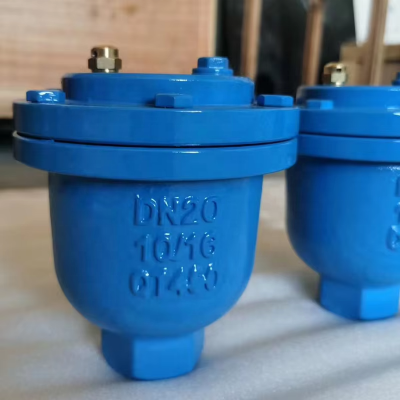 High Quality Cast Ductile Iron GG25 GGG50 Single Hole Port Flange Exhaust Valve Air Release Valve Air Vent Valve photo-6
