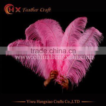 China HX Wholesale Cheap Big Size White Ostrich Feathers for Sale photo-5