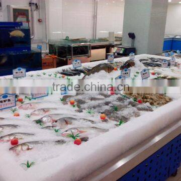 APEX custom make stainless steel refrigerated fish display table