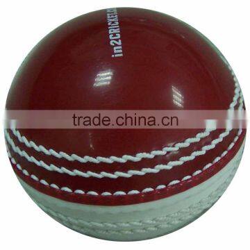 Trainer Incredible Shiny Cricket Ball