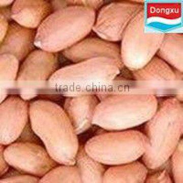 shandong peanut 40/50