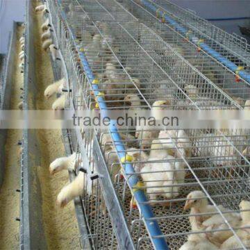 hot metal baby chick cages for sale