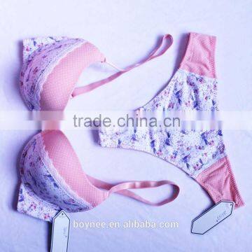 2017Christmas Design Most Popular and Hot Sale Silk Bra and Panty Set
