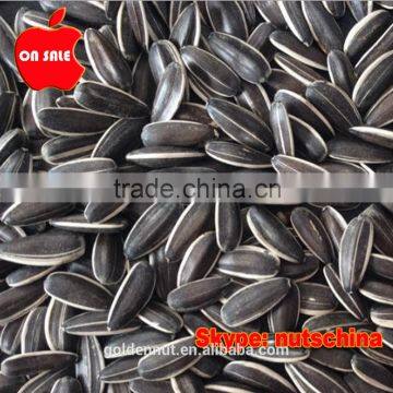 Sunflower Seeds 5009 24/64 26/68 photo-6