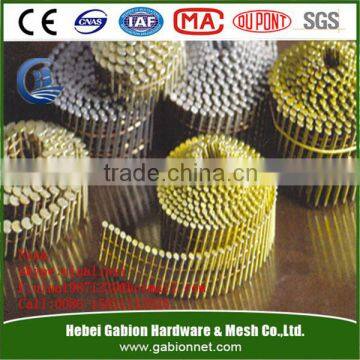 Cheap Polished galvanized common wire nails Factory C45 / COLL NAILS FULL RING SHANK