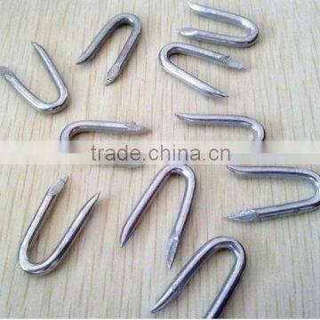 Hot Sales Factory supply U fence Staple / U shape staple / Fence staple U nails