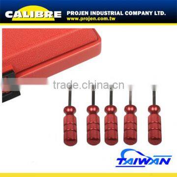 CALIBRE Auto Repair 5 pc Asian Terminal Tool Kit