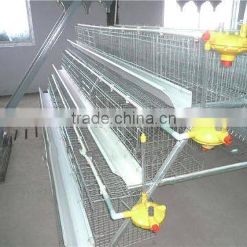 automatic poultry drinking for broiler chicken