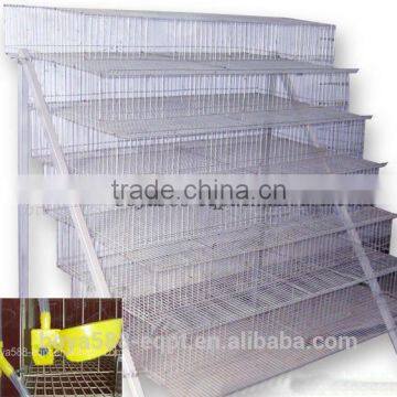 Full Automatic Quail Farming Cages photo-4