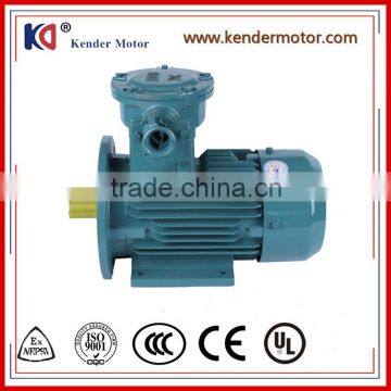 Explosion Proof Induction Motor Three Phase Electrical Motor