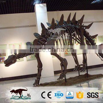 OA6208 Artificial Dinosaur Skeleton Amusement Park Equipment For Display