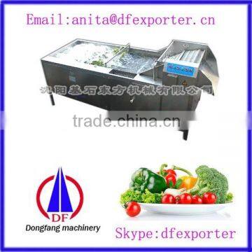 Commercial Vegetable and Fruit Washing Machine / Vegetable Washer New Product