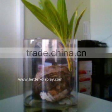 wholesale clear acrylic plants terrarium