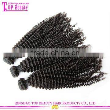 Factory High Quality 4c Afro Kinky Curly Human Hair Weave Wholesale Price Mongolian Kinky Curly Hair photo-4