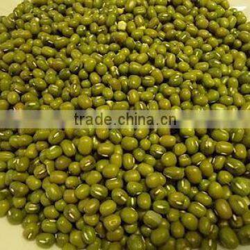 Green Moong Beans