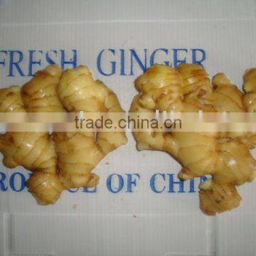 China ginger old and new crop