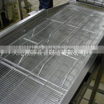 Mesh Chain Belt Conveyor