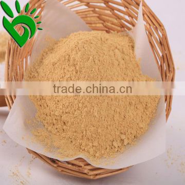 Dehydrated Vegetable Ginger Powder