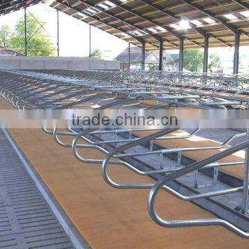 cattle barn Tie Stall Equipments