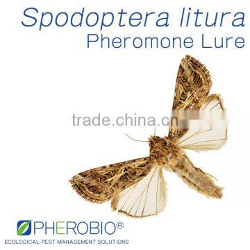 Pheromone Lure for Spodoptera litura (Oriental Leafworm Moth), Pheromone Attractant