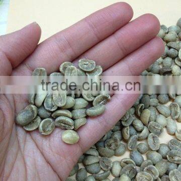 High quality and good price green arabica coffee beans