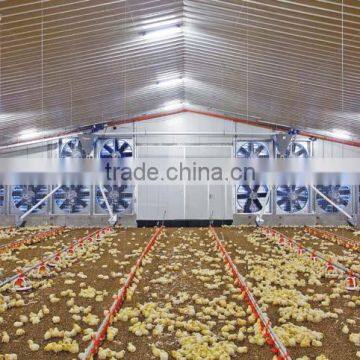 Steel Structure Chicken Shed /environmental Control Steel House photo-2