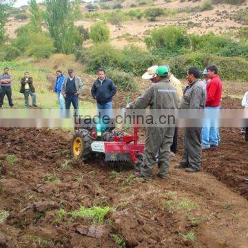Mini Walking Tractor 11hp for the Cheap Price in Hot Sale photo-6