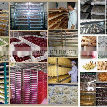 Induatrial Garlic Dehydrator Drying Machine photo-4