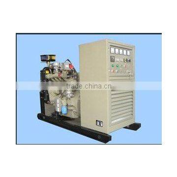 30KW biogas generator