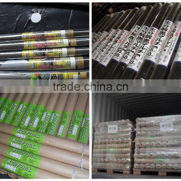 Hot Sale Silver Black Polyethylene Plastic Agricultural Mulching Film for Sale photo-3