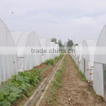 Single-Span Agricultural Greenhouses Type and Large Size Single Span greenhouse