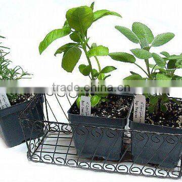 Wire Basket 3 herb set, Herb Planter Set