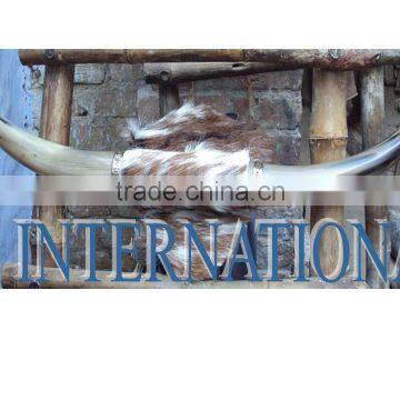 Ox White Drinking Horns photo-5