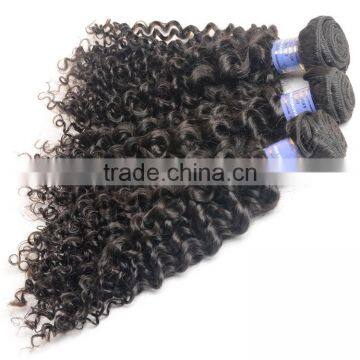 Sy Curly Human Braiding Hair, Different Types Of Curly Weave Hair photo-4